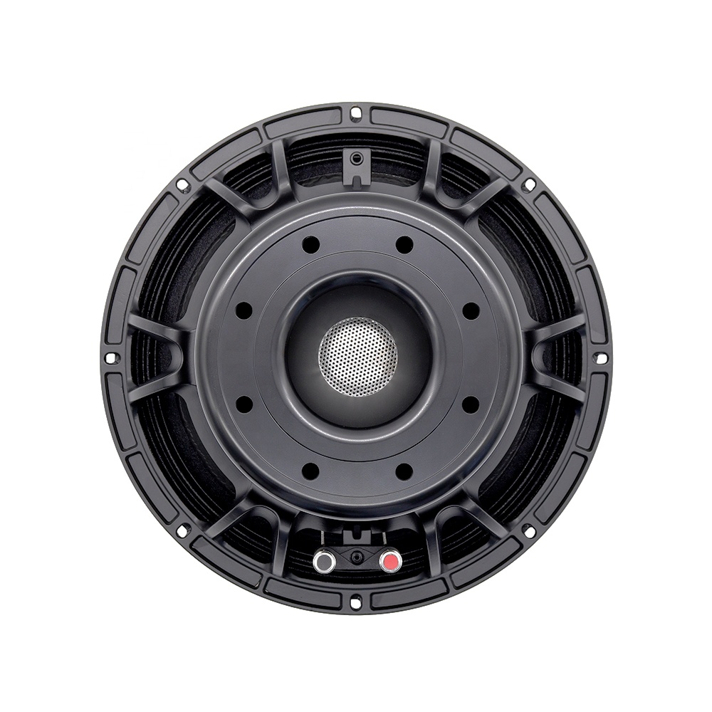 อุปกรณ์เสียงระดับมืออาชีพ 12DS - Subwoofer บทวิจารณ์และราคา