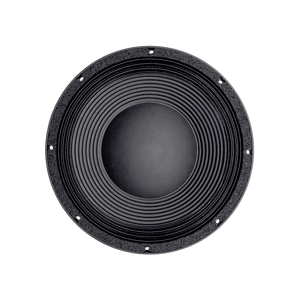 อุปกรณ์เสียงระดับมืออาชีพ 12DS - Subwoofer บทวิจารณ์และราคา