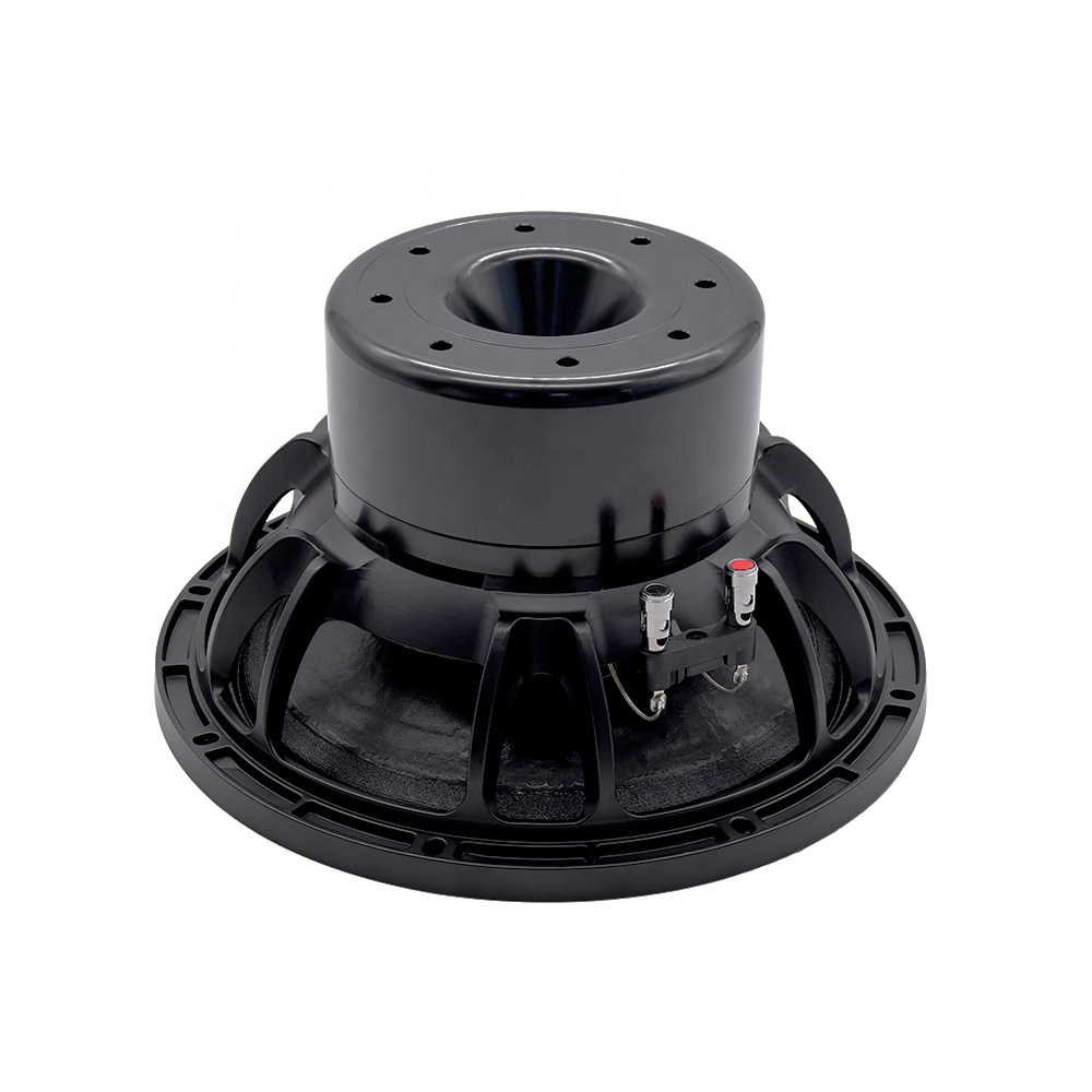 อุปกรณ์เสียงระดับมืออาชีพ 12DS - Subwoofer บทวิจารณ์และราคา
